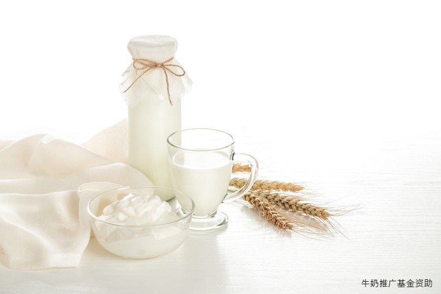 波兰牛奶和乳制品对华出口增长