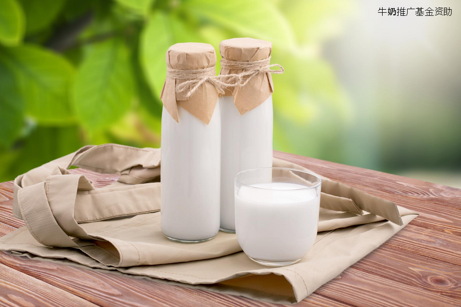 Trade Milk波兰乳制品推广项目新一年开始